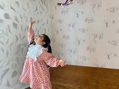 -金山农民画村-枫泾波兰倒置屋