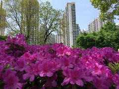 -苏州河梦清园环保主题公园