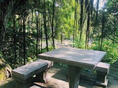 -青芝山风景名胜区