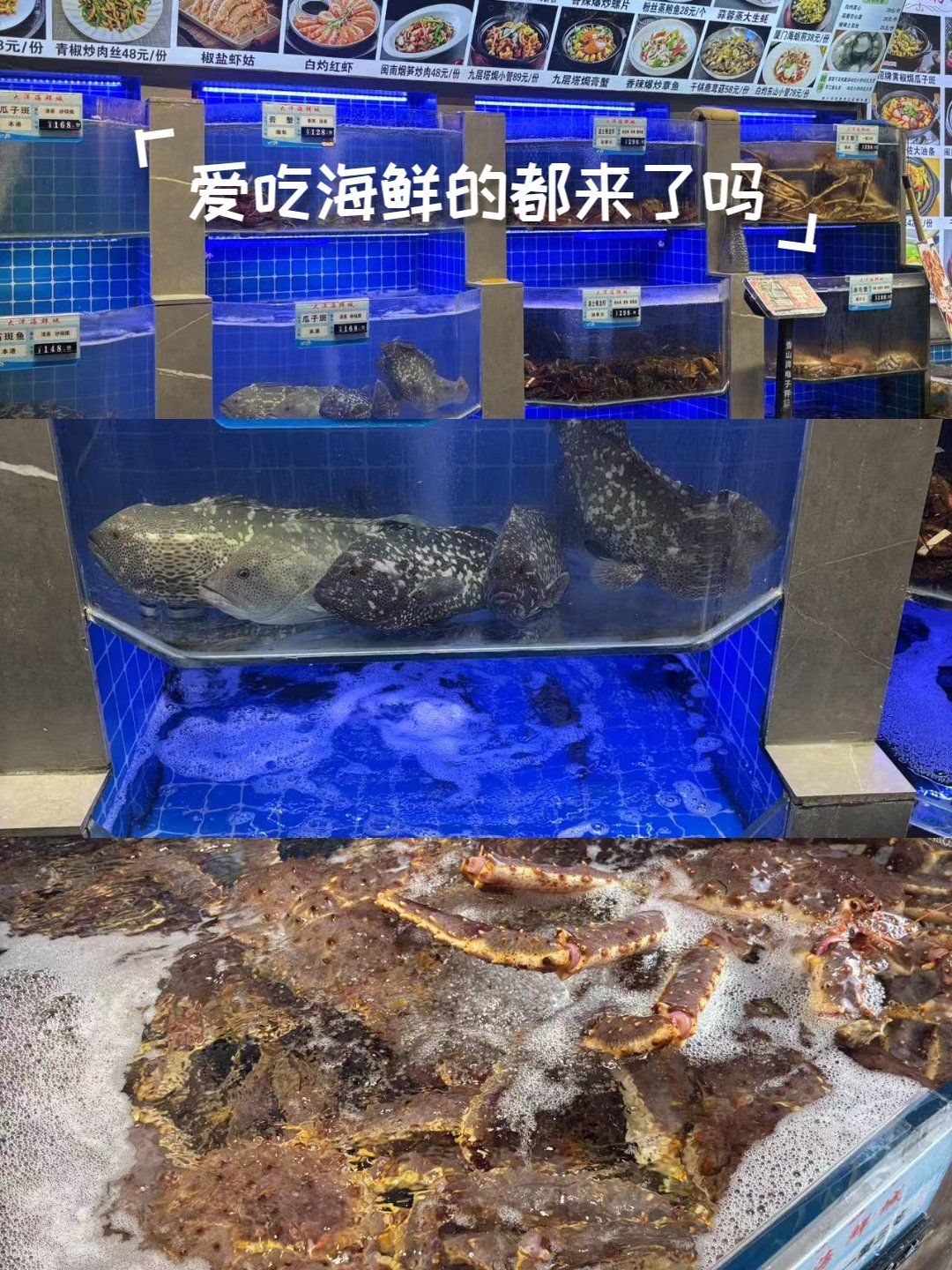 一进门,就能看到琳琅满目的海鲜缸.各种生