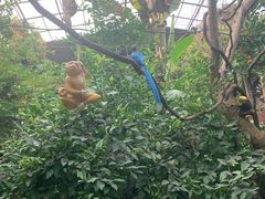 -呀路古热带植物园