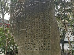 -南汇桃花村