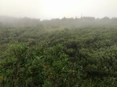 -凤凰山国家森林公园