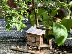 -北京野生动物园