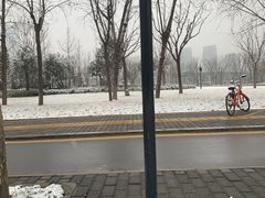 -木塔寺遗址生态公园