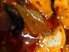 家常豆腐-常赢三兄弟·清真涮肉·清真炒菜(朝阳新城店)