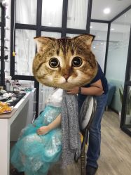 -十孕纪高端孕妇亲子摄影