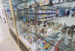 -逝水玩具折扣店