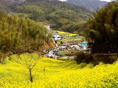 -灵山景区梯田