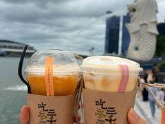 -鱼尾狮公园