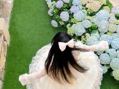 -Lamant Manor已闻花名關於藍