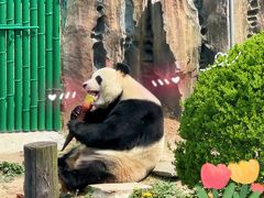 -大连森林动物园