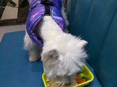 -My Way Town买味堂·东南亚餐厅(亦庄店)