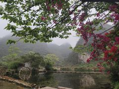 -靖西鹅泉风景区