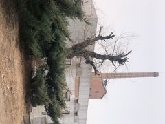 -沈阳二战盟军战俘营旧址陈列馆