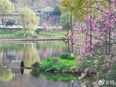 -重庆彩云湖湿地公园