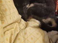 -美迦爱-牙专科·兔科·骨科诊疗中心(北苑店)