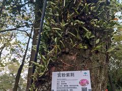 -广州市白云山风景名胜区