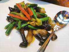 鸡枞菌炒嫩黄瓜苗-不二茶空间·养生宴(石景山店)