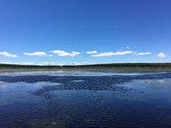 -塞罕坝国家级自然保护区