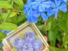 -昆明冠生园·鲜花饼·面包蛋糕(老街店)
