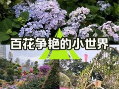 -海心沙亚运公园