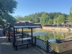 -尚庄度假村·庭台树下·户外烧烤·团建CS·轰趴营地(上庄水库店)