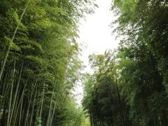 -良渚古城遗址公园