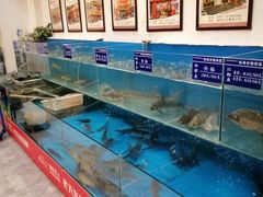 明档选鱼-老关东铁锅炖(上游街店)