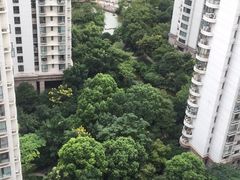 -新湖明珠城