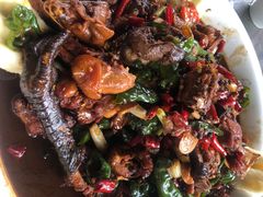 -向民炒鸡老店(火车站店)