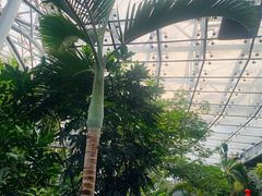 -北京植物园-展览温室