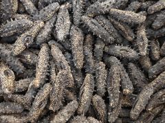 -大连双兴商品城