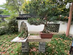 -上海醉白池公园