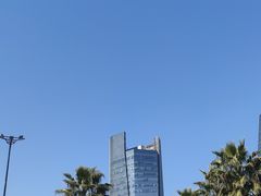 -金沙湖公园