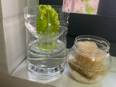 -白家餐厅(徐家汇店)