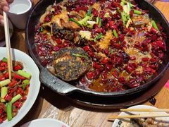 -老板恋上鱼(恒隆广场店)