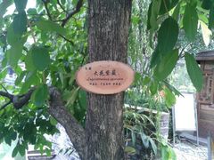 android_upload_pic-东莞市可园博物馆