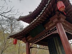 -碑林公园