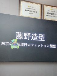 -藤野造型烫染