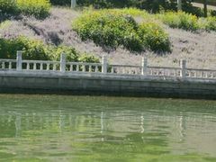 -皇家御河游(紫御湾码头)