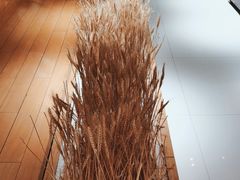 -西村日本料理(香格里拉饭店)