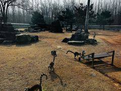 -秦皇岛野生动物园