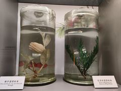 -正佳自然科学博物馆