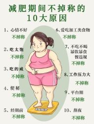 -Fundi张玉珊修身堂·indiba·BTL科技瘦身