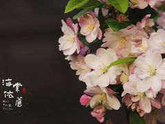 -海棠花溪(元大都城垣遗址公园)