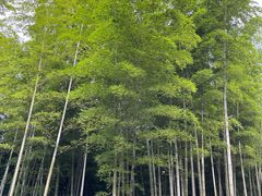 -天目湖御水温泉·度假酒店