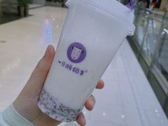 -一只酸奶牛(奎星楼店)