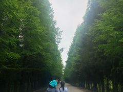 -山王坪喀斯特国家生态公园