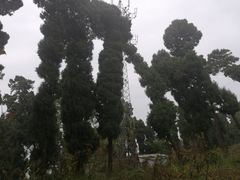 -金堂县云顶石城风景区